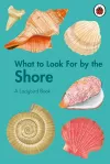 What to Look For by the Shore cover