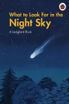 What to Look For in the Night Sky cover