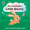 Say Goodnight, Little Bunny cover