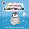 Say Goodnight, Little Penguin cover