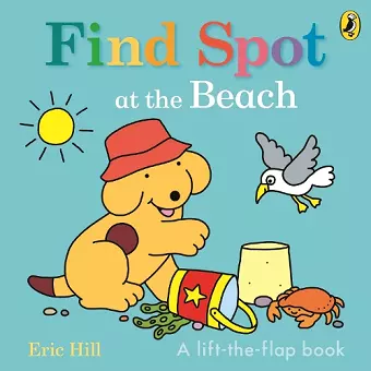 Find Spot at the Beach cover