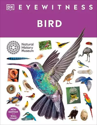 Bird cover