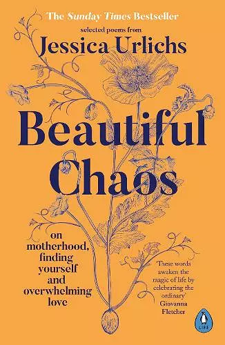 Beautiful Chaos cover