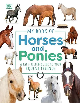 My Book of Horses and Ponies cover