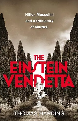 The Einstein Vendetta cover