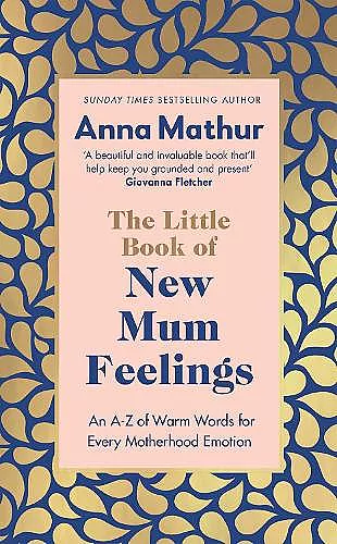 The Little Book of New Mum Feelings cover
