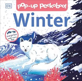 Pop-up Peekaboo! Winter cover