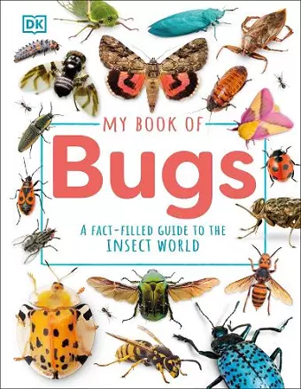 My Book of Bugs cover