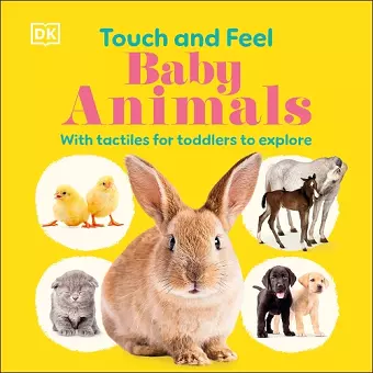 Touch and Feel Baby Animals cover