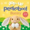 Pop-Up Peekaboo! Bunny cover