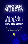 Wildlands: Into the Storm cover