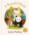 A Beautiful World cover