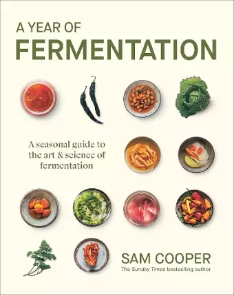A Year of Fermentation cover