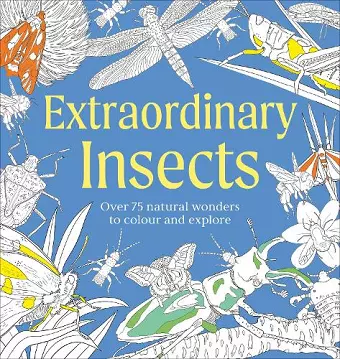 Extraordinary Insects Colouring Book cover