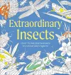 Extraordinary Insects Colouring Book cover