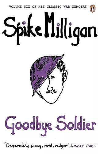Goodbye Soldier cover
