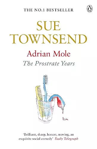 Adrian Mole: The Prostrate Years cover