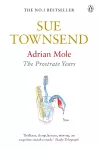Adrian Mole: The Prostrate Years cover