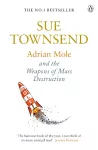 Adrian Mole and The Weapons of Mass Destruction cover