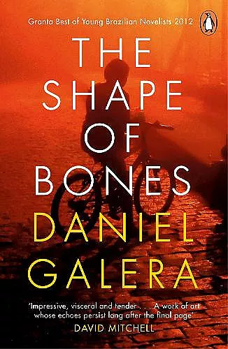 The Shape of Bones cover