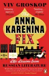 The Anna Karenina Fix cover