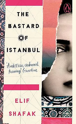 The Bastard of Istanbul cover