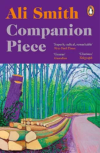 Companion piece cover