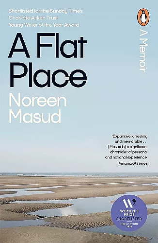 A Flat Place cover