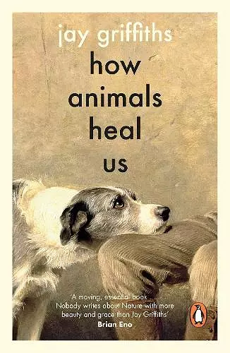 How Animals Heal Us cover