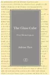 The Glass Cube cover