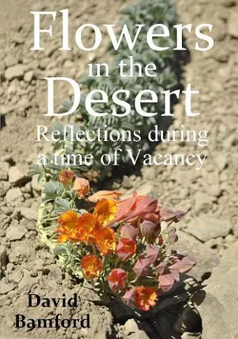 Flowers in the Desert:  Reflections during a time of Vacancy cover