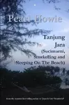 Tanjung Jara (Sucimurni, Snorkelling and Sleeping On The Beach) cover