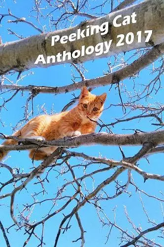 Peeking Cat Anthology 2017 cover