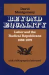 Beyond Equality cover