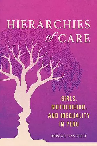 Hierarchies of Care cover