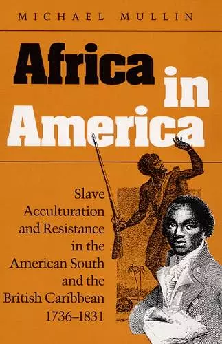 Africa in America cover