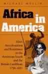 Africa in America cover