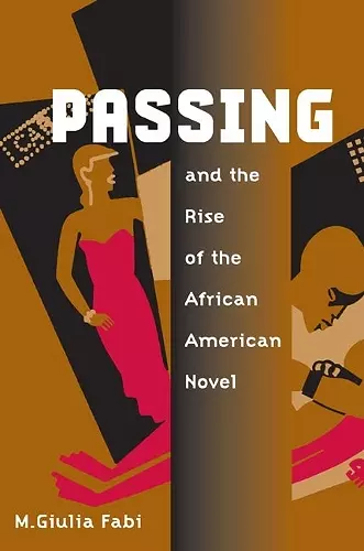 Passing and the Rise of the African American Novel cover