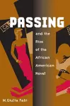 Passing and the Rise of the African American Novel cover