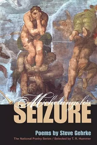 Michelangelo's Seizure cover