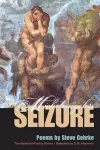 Michelangelo's Seizure cover