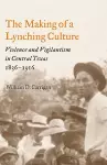 The Making of a Lynching Culture cover