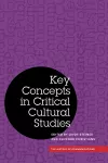 Key Concepts in Critical Cultural Studies cover
