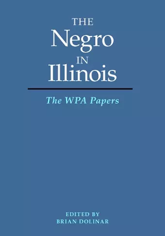 The Negro in Illinois cover