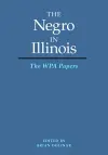 The Negro in Illinois cover