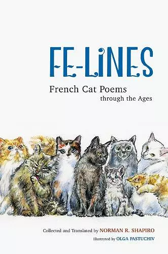 Fe-Lines cover