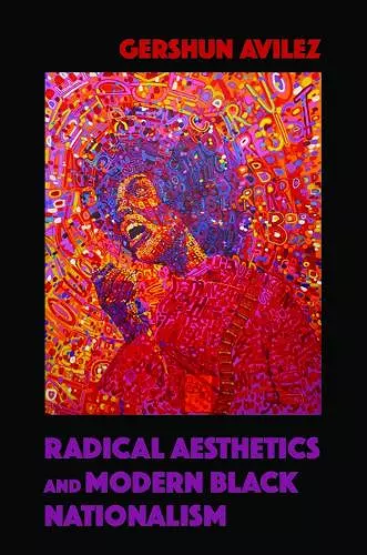 Radical Aesthetics and Modern Black Nationalism cover