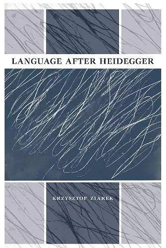 Language after Heidegger cover