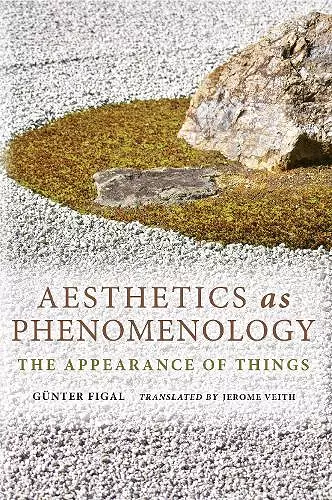 Aesthetics as Phenomenology cover