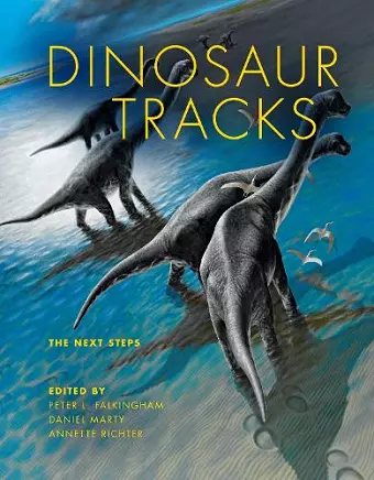 Dinosaur Tracks cover